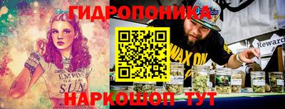 прущие крисы Шелехов