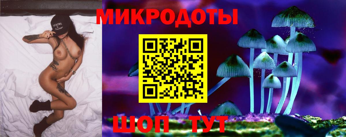 Псилоцибиновые грибы прущие грибы Боровичи